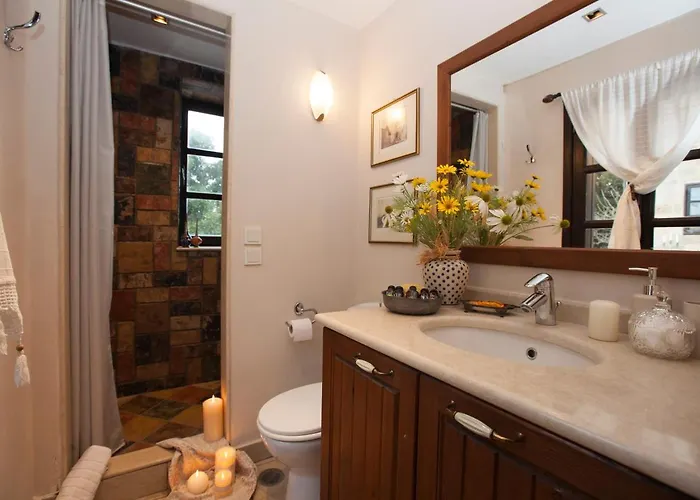 فيلة Medieval Dreams *